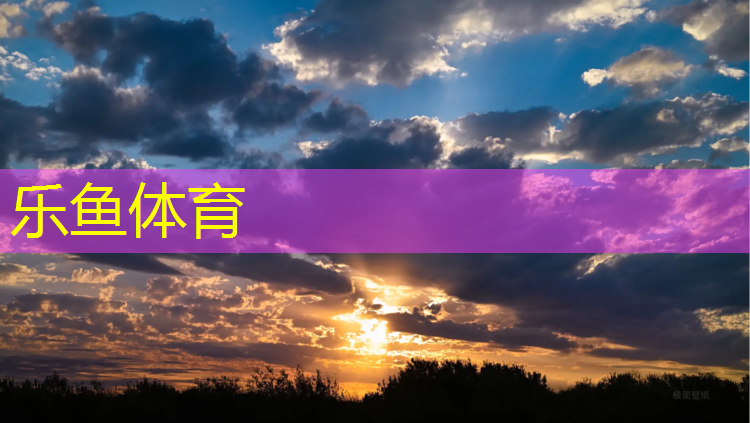 乐鱼体育,隆昌校园塑胶跑道材料