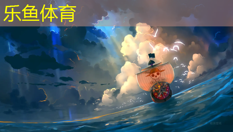 leyu·乐鱼(中国)体育官方网站,跆拳道护具专用包广告语
