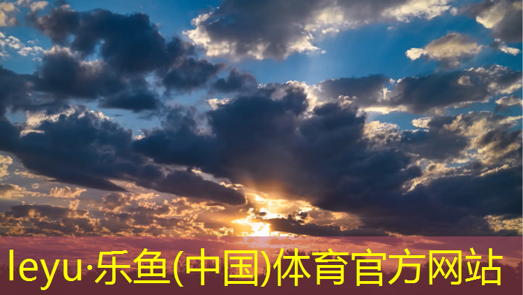 乐鱼体育,贞丰透气型塑胶跑道施工