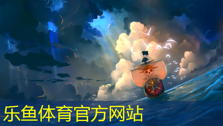 跆拳道护具专用包广告语